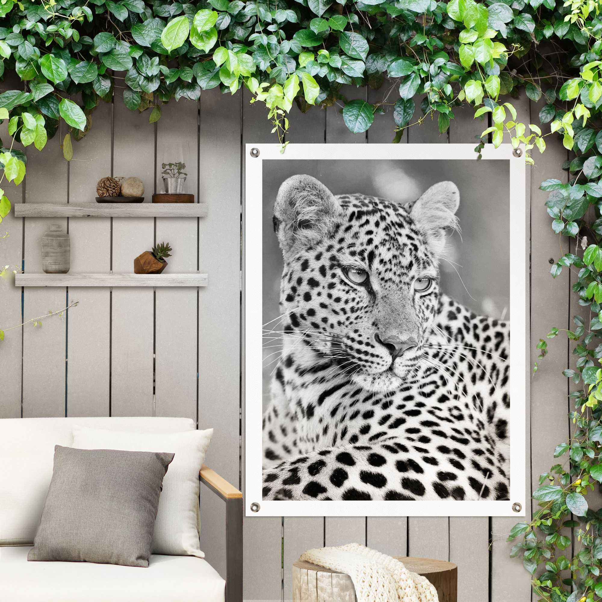 Reinders! Poster »Leopard«, Outdoor Balkon kaufen oder BAUR Garten für 