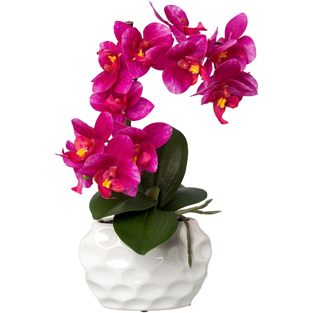 Creativ green Kunstorchidee »Deko-Orchidee Phalaenopsis im Keramiktopf«