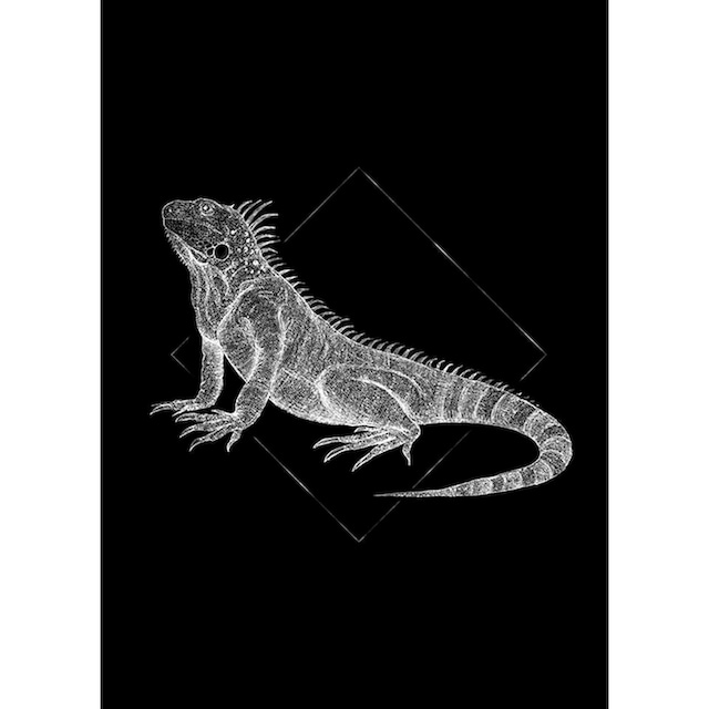 Komar Poster »Iguana Black«, Tiere, Kinderzimmer, Schlafzimmer, Wohnzimmer  | BAUR
