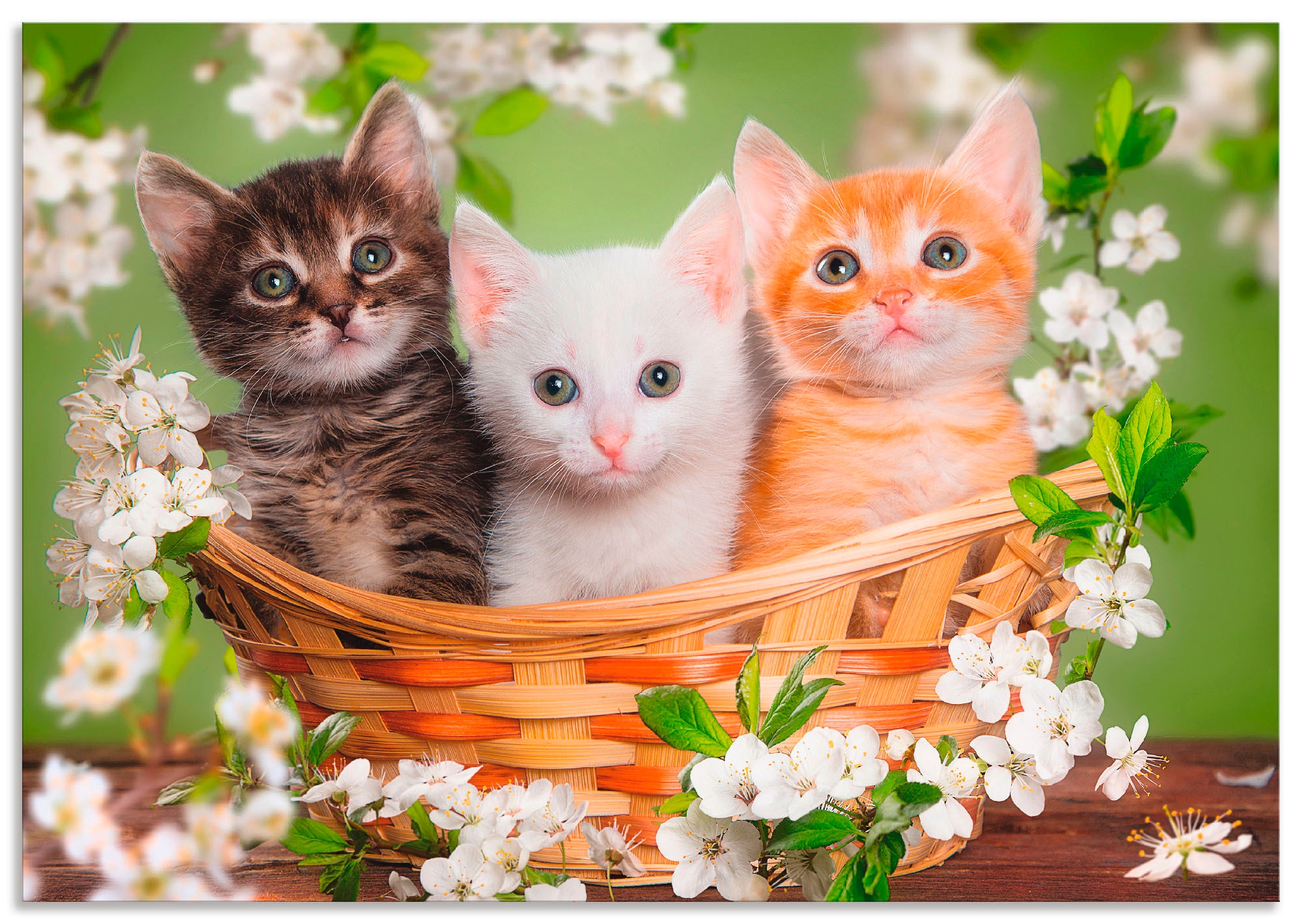 Artland Wandbild "Katzen sitzen in einem Korb" Haustiere 1 Stk. tlg. als Le günstig online kaufen
