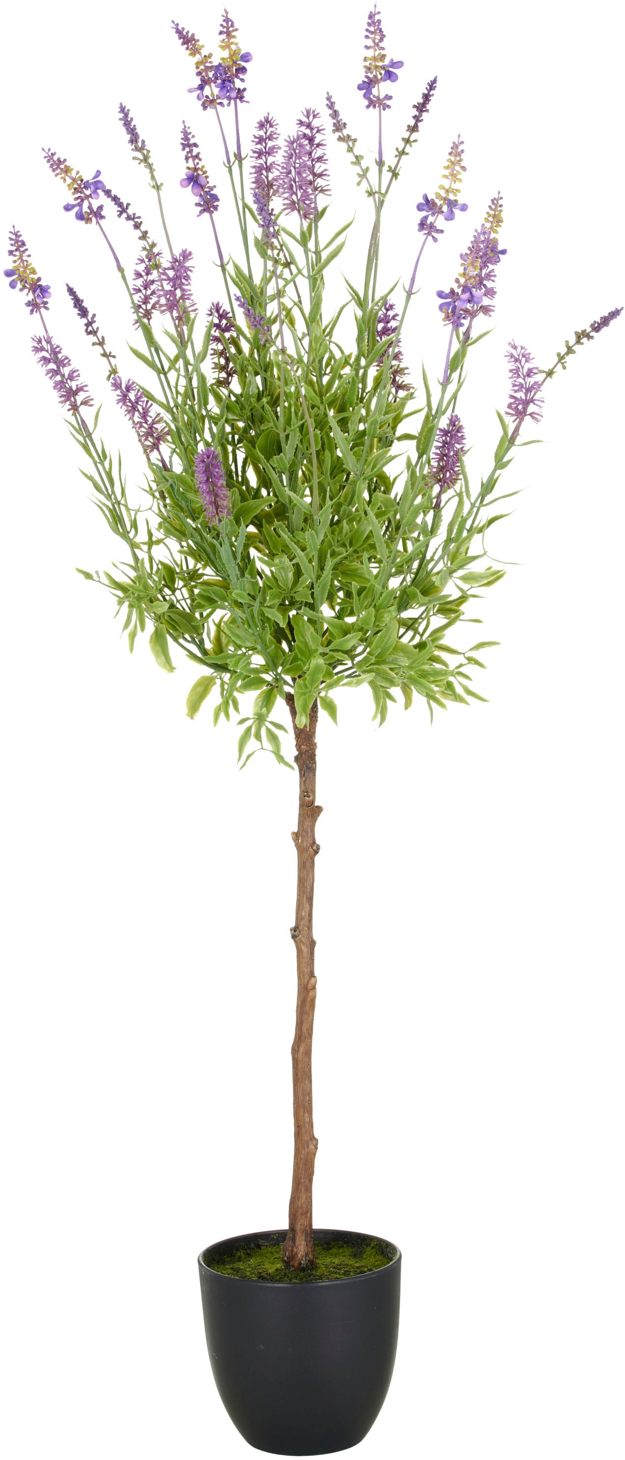 Creativ green Kunstpflanze "Lavendel", mit filigranen Lavendelbüten günstig online kaufen