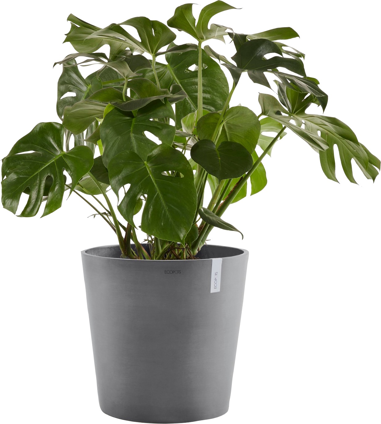 Ecopots Pflanztopf Amsterdam Grau 50 cm x 43,8 cm günstig online kaufen