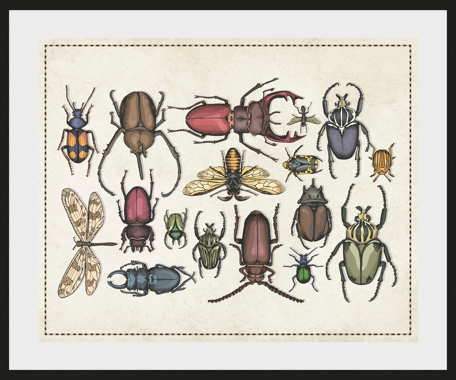 queence Bild »Das Große Krabbeln 2«, Schmetterlinge-Kunst-Insekten, (1 St.), HD Premium Poster-Druck inkl. Holzrahmen