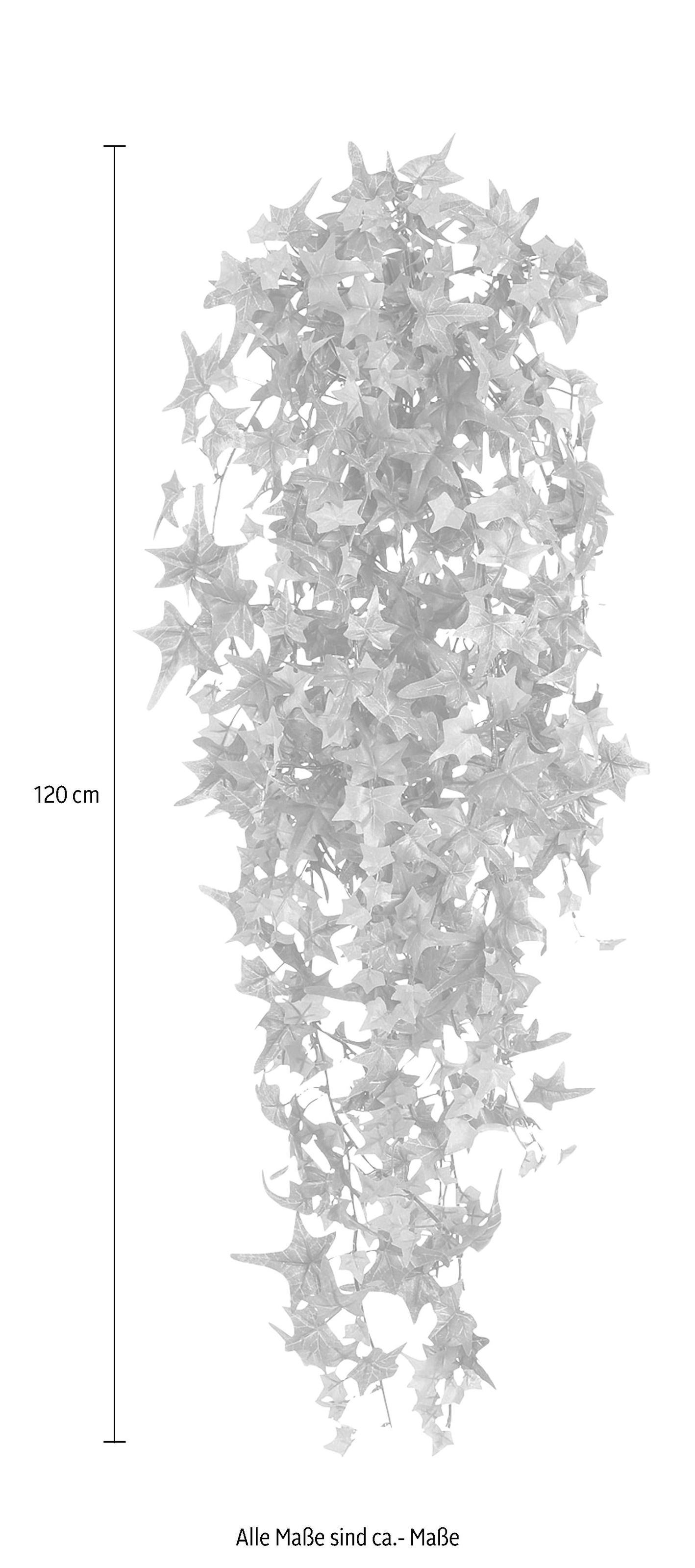 Creativ green Kunstranke »Englische Efeuranke«, hängender Efeu, ohne Topf