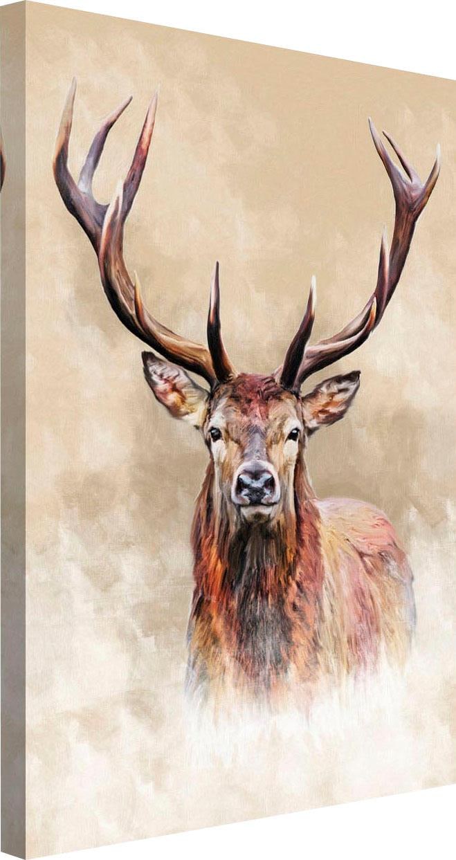 Reinders! Wandbild | kaufen BAUR »Hirsch«