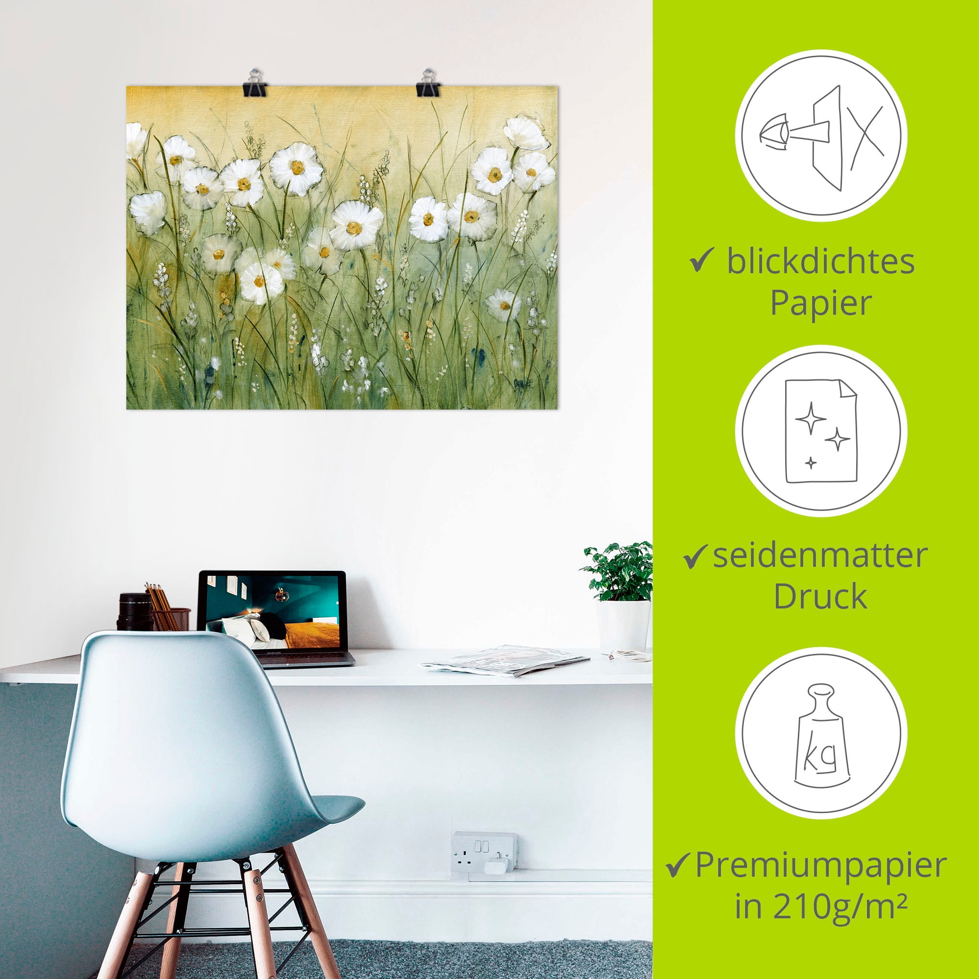 Artland Wandbild »Gänseblümchenfrühling II«, Blumen, (1 St.), als Alubild, Outdoorbild, Leinwandbild, Poster, Wandaufkleber