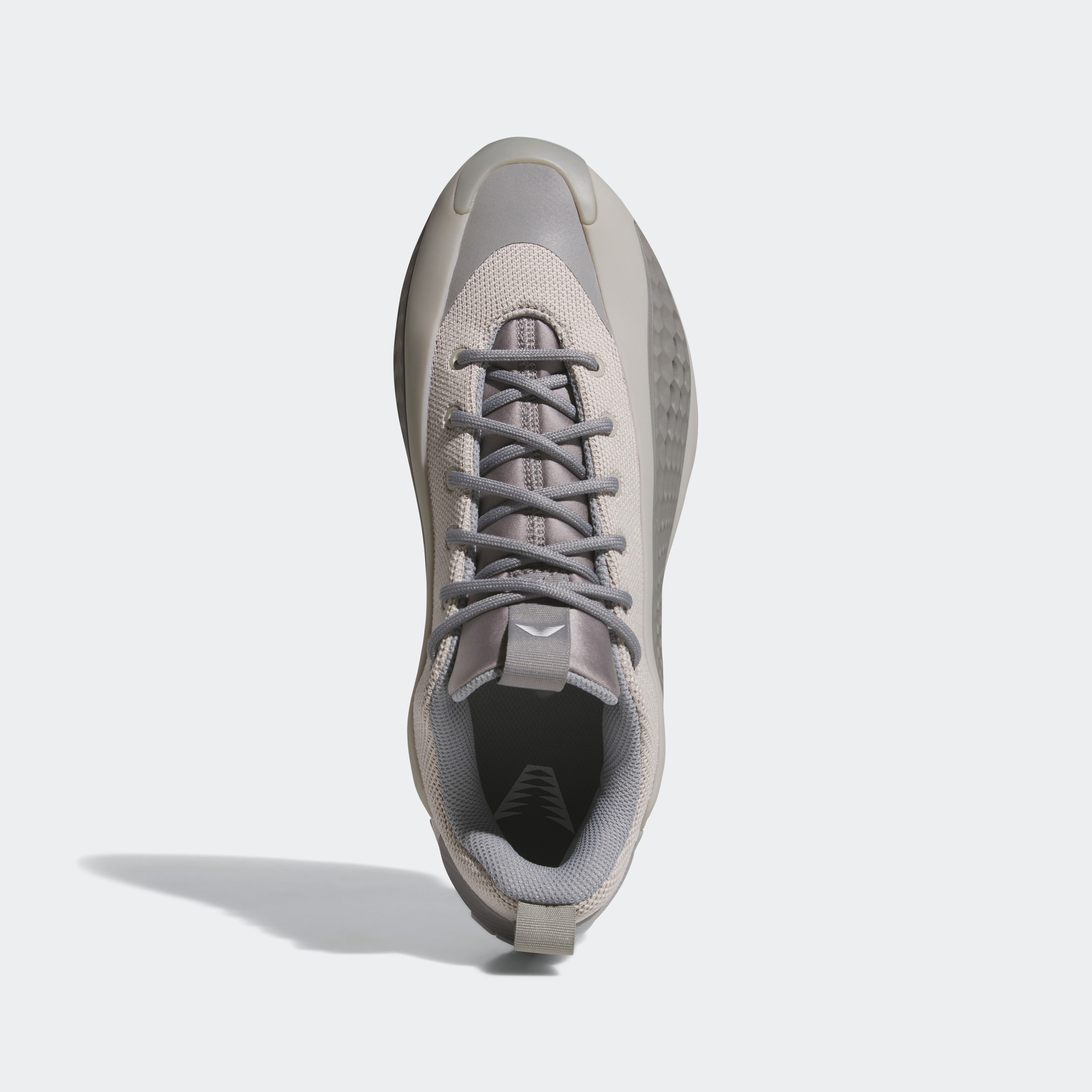 adidas Performance Basketballschuh »ANTHONY EDWARDS 1 LOW«