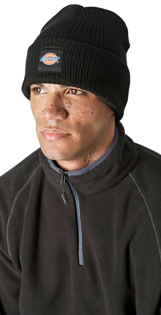 Dickies Beanie »Evadale« online 