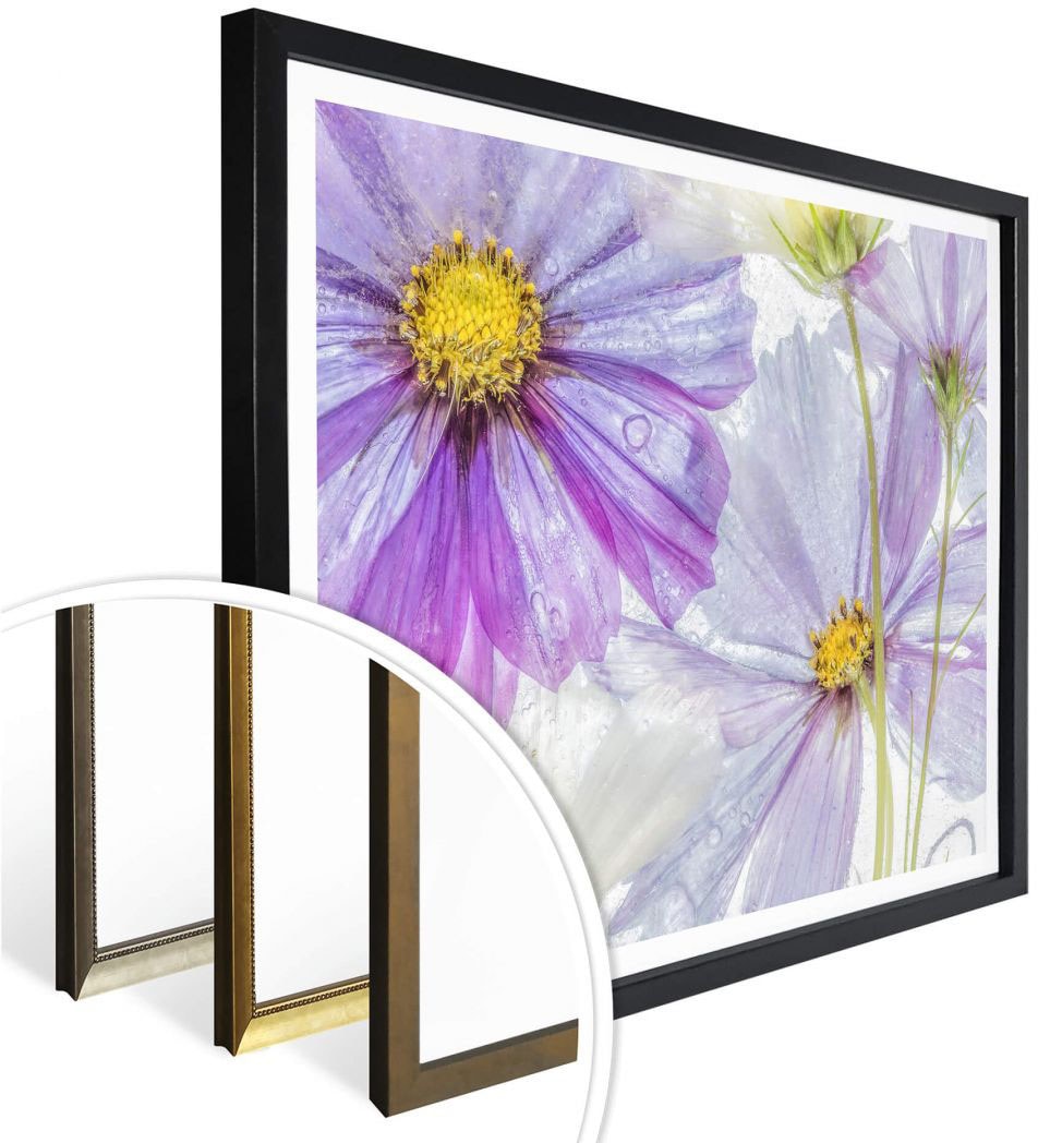 Wall-Art Poster »Frozen Flowers«, Blumen, (1 St.) bestellen | BAUR