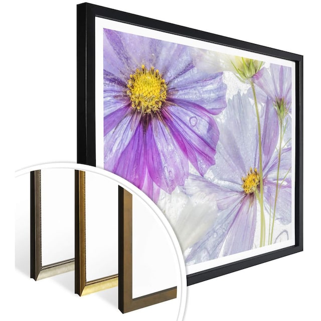 Wall-Art Poster »Frozen Flowers«, Blumen, (1 St.) bestellen | BAUR