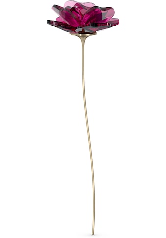 Swarovski Dekoobjekt »Garden Tales Rose, 5557800«, (1 St.), Swarovski® Kristall kaufen