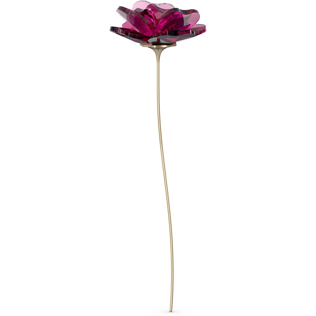 Swarovski Dekoobjekt »Kristallfigur Blume Garden Tales Rose, 5557800«