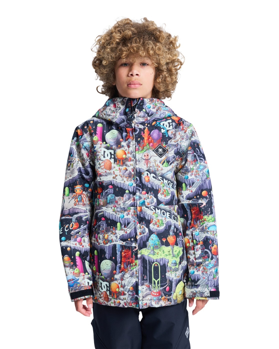 DC Shoes Snowboardjacke "Basis Print"