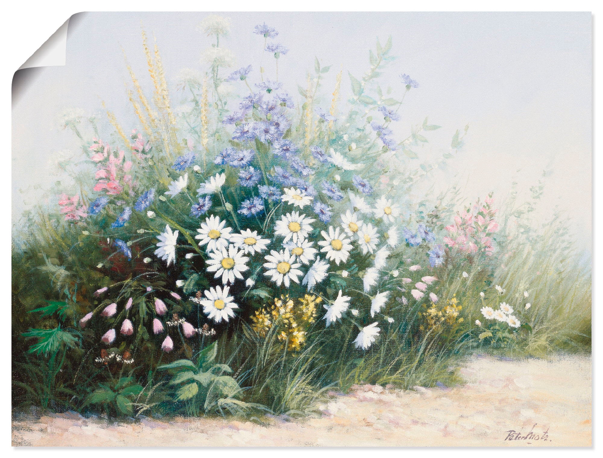 Artland Wandbild "Blumen Serenade", Blumen, (1 St.), als Poster in verschie günstig online kaufen