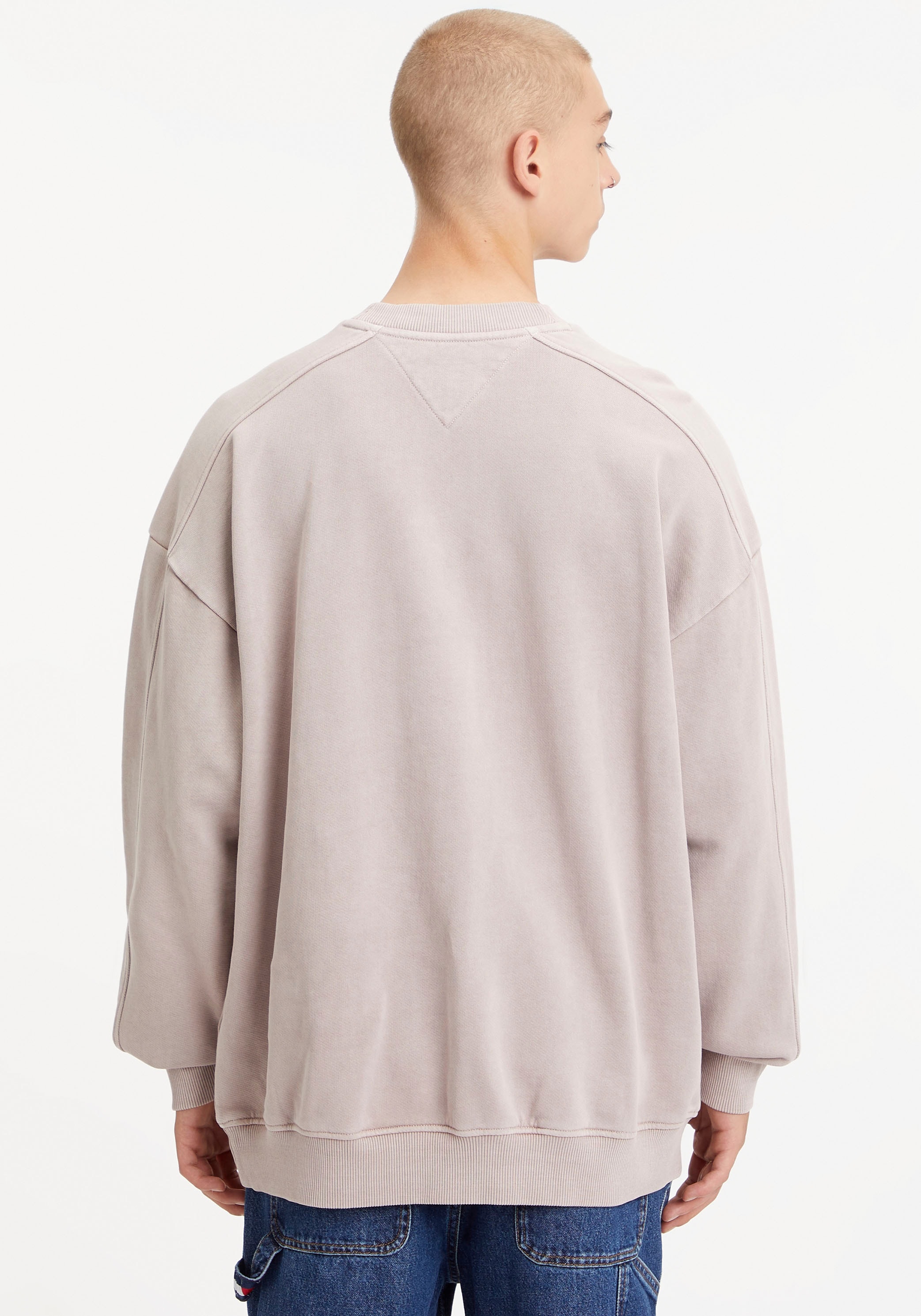 Tommy Jeans Sweater »TJM SKATER TIMELESS TOMMY CREW« mit Rundhalsausschnitt JN10300