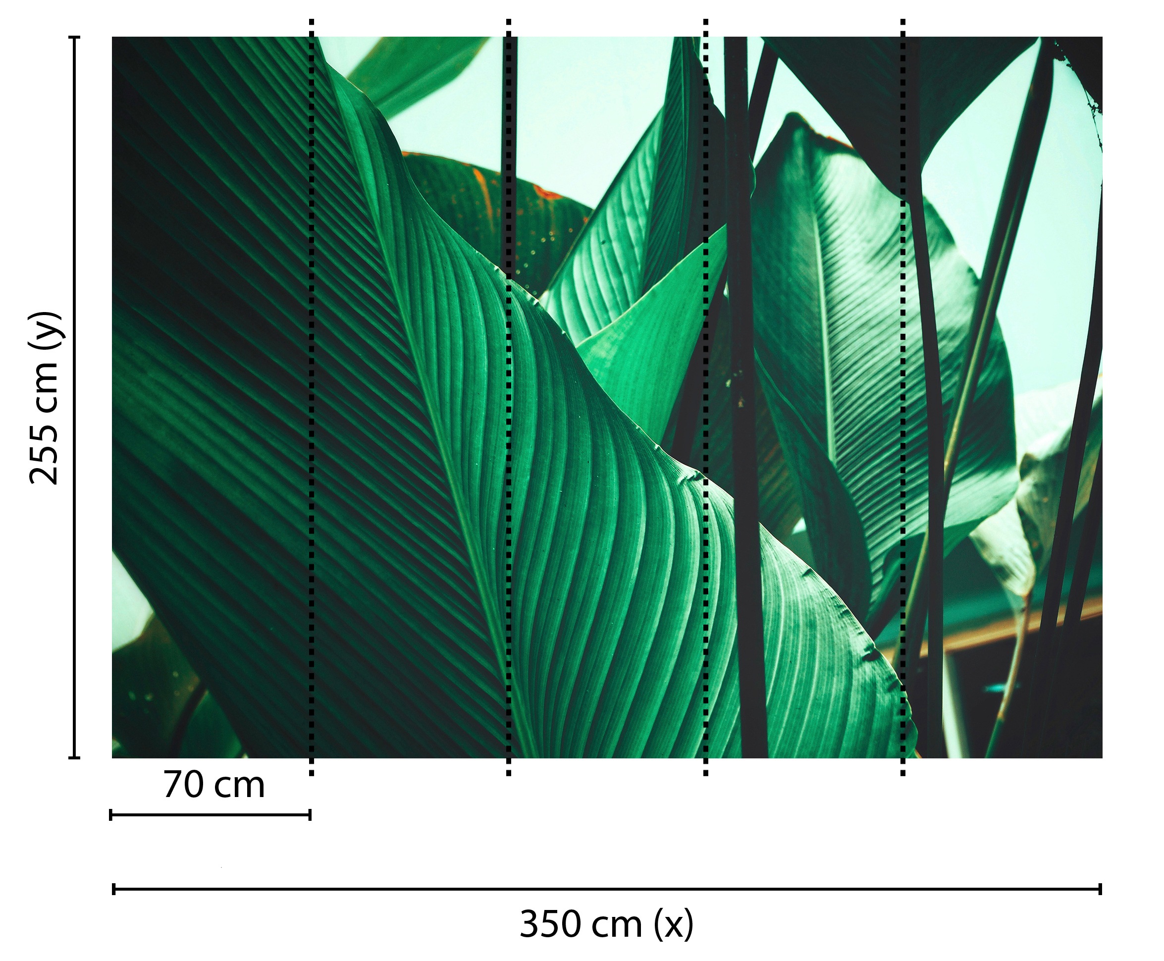 living walls Fototapete »Designwalls Leaf Stalks 1« glatt Vlies, Wand, Schräge, Decke