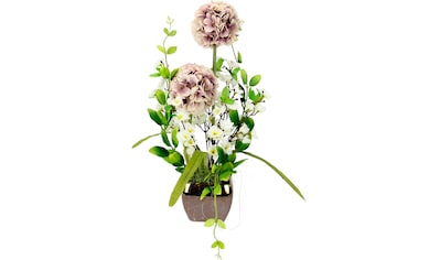 I.GE.A. Kunstblume »Arrangement Allium«, (1 St.), Topf aus Keramik kaufen