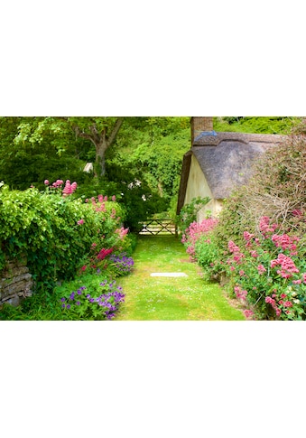 Fototapete »GARTEN-BLUMEN BÄUME PFLANZEN STEINE WALD PERGOLA BLÜTEN«