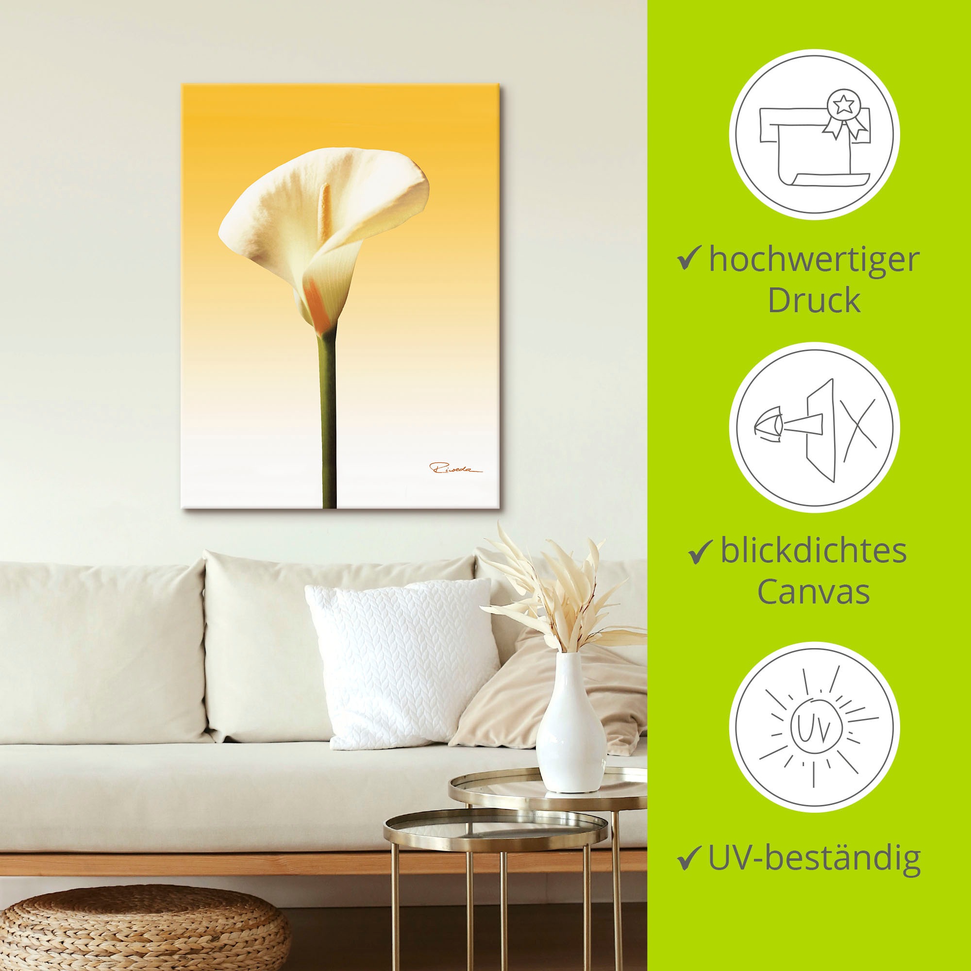 Artland Wandbild »Sonnenschein Calla II«, Blumenbilder, (1 St.), als Leinwandbild, Poster in verschied. Größen