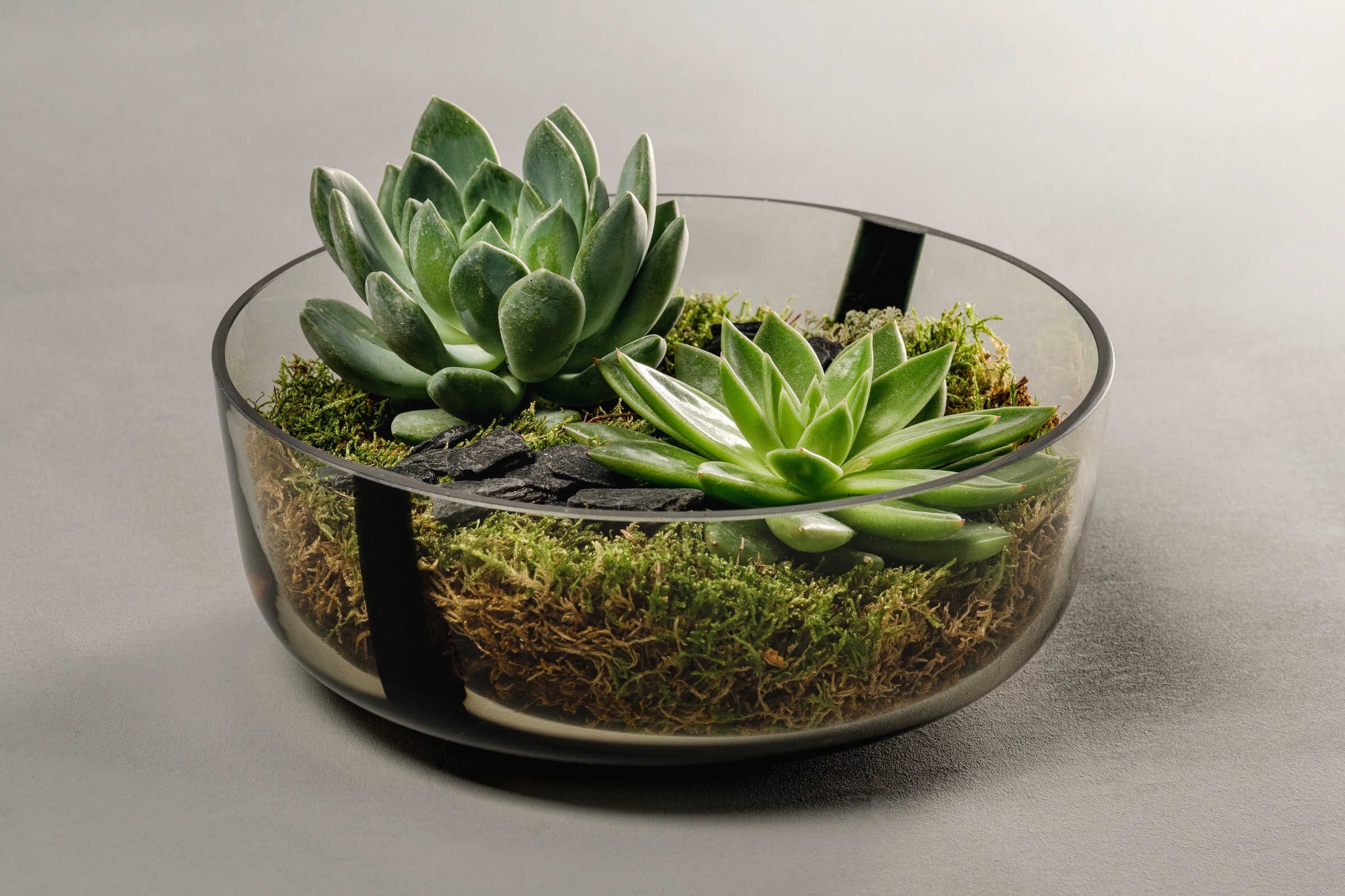 LEONARDO Schale »ALVEO, aus hochwertigem Farbglas mit Unikat-Charakter«, 1 tlg., aus Glas, spülmaschinengeeignet