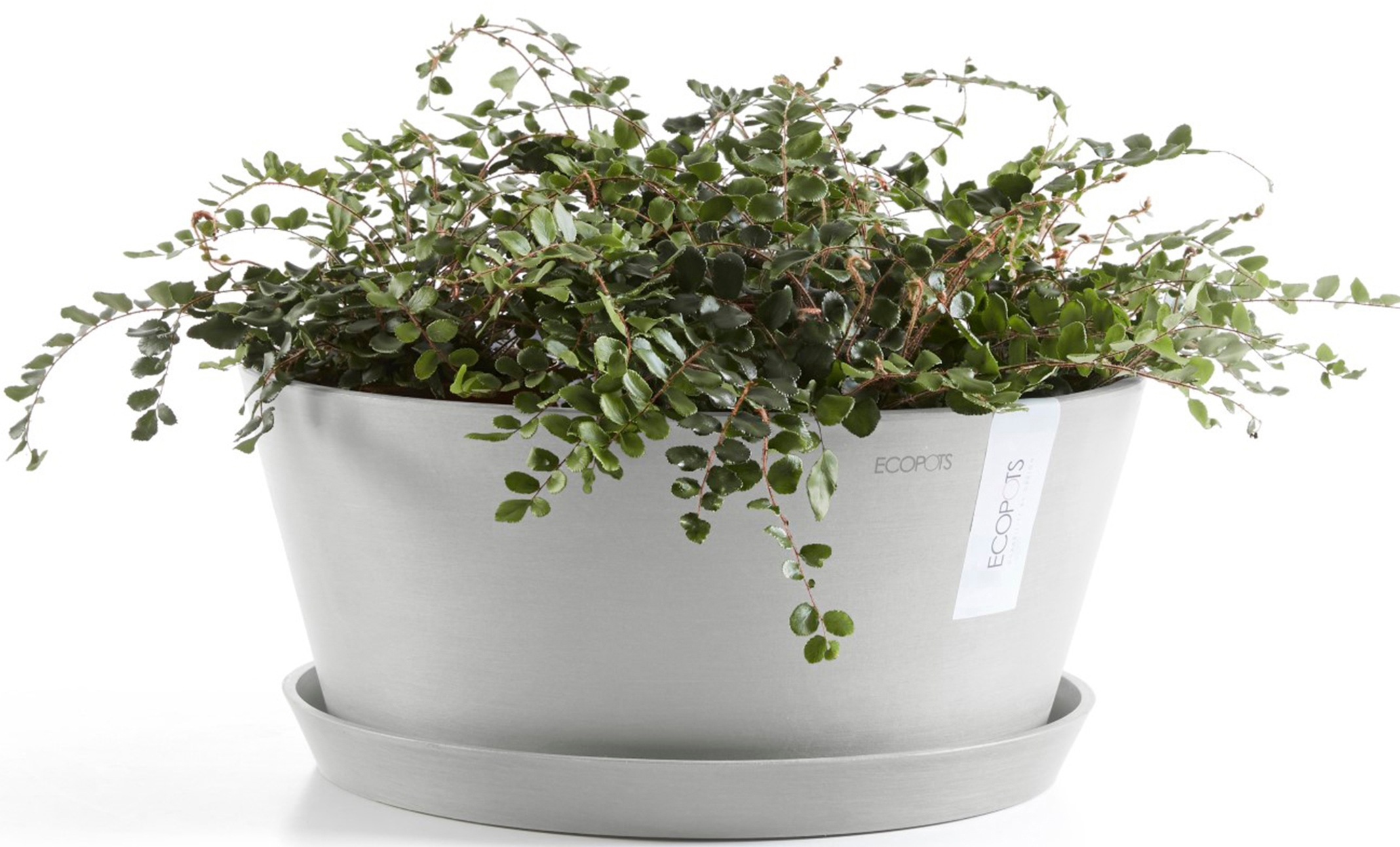 ECOPOTS Blumentopf »Frankfurt 50 Weißgrau«, für innen und außen: frostsicher, bruchsicher und lichtbeständig