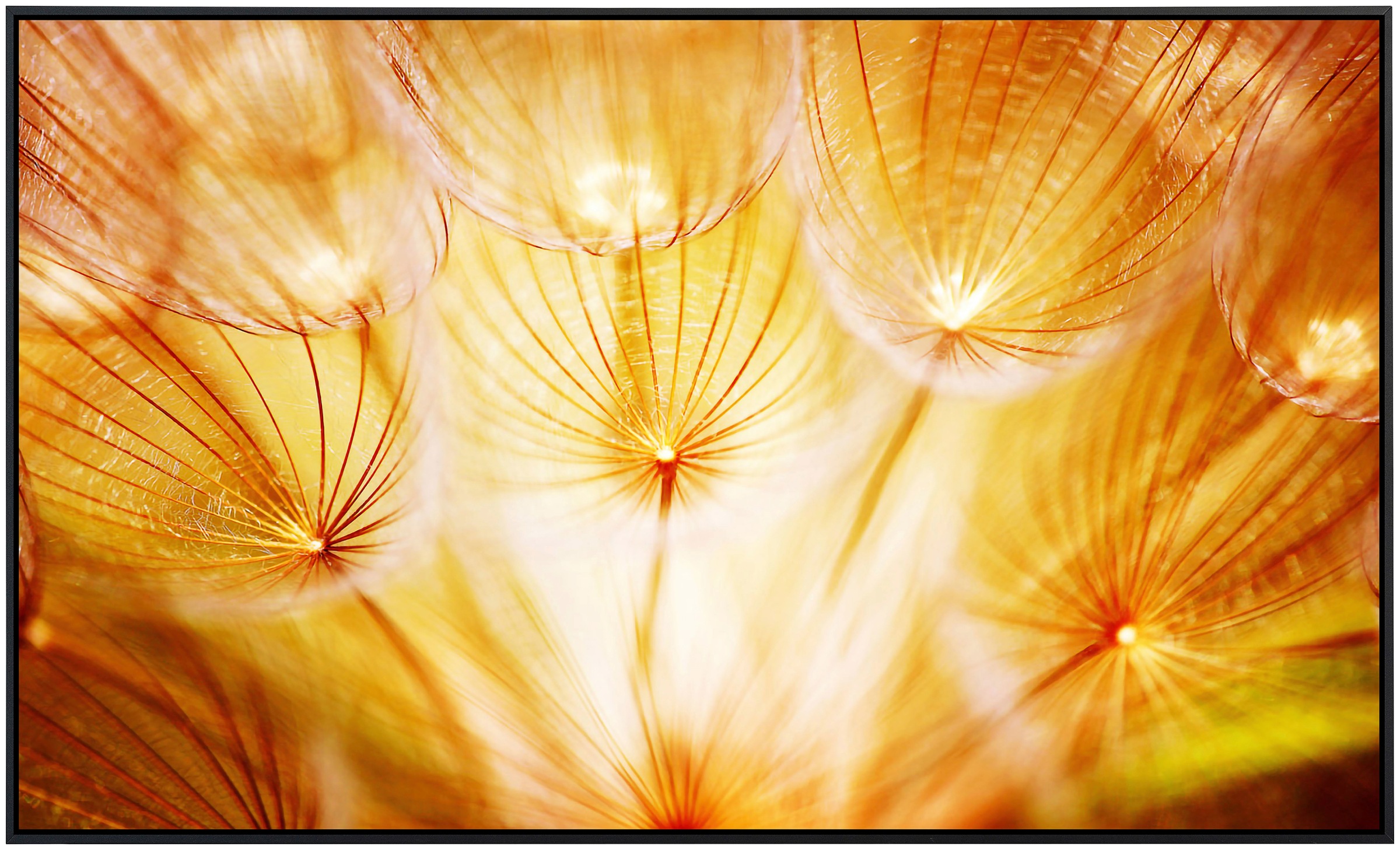 Papermoon Infrarotheizung »Weiche Löwenzahnblumen«, sehr angenehme Strahlungswärme