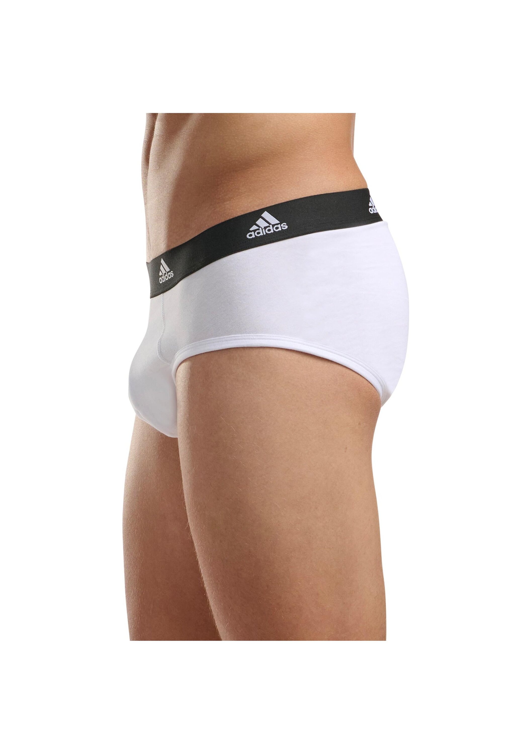 adidas Originals Slip »Slip 3er Pack«