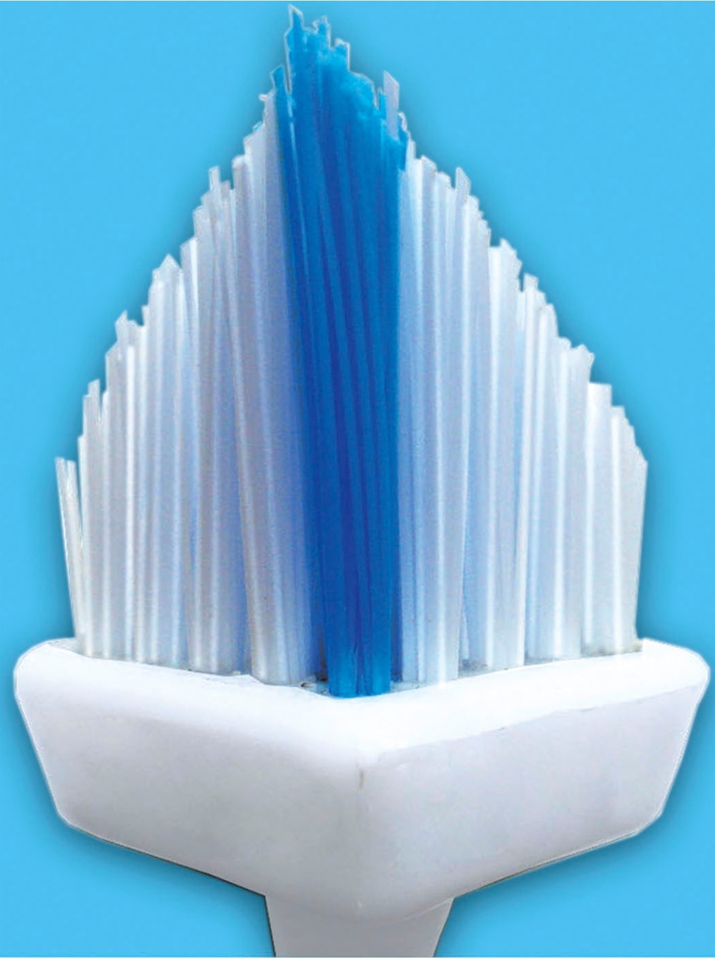 Reinigungsbürste günstig online kaufen