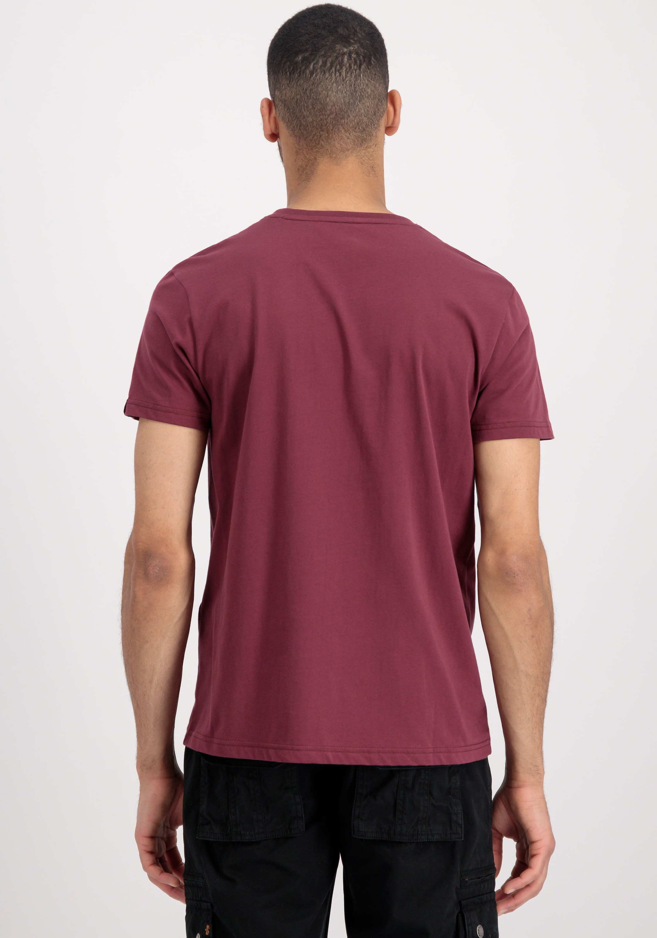 Alpha Industries Rundhalsshirt »Basic T 2 Pack«