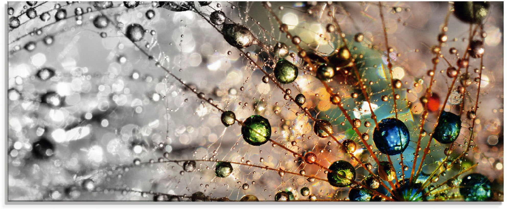 Artland Glasbild »Farbenfrohe Natur«, Blumen, (1 St.), in verschiedenen Größen