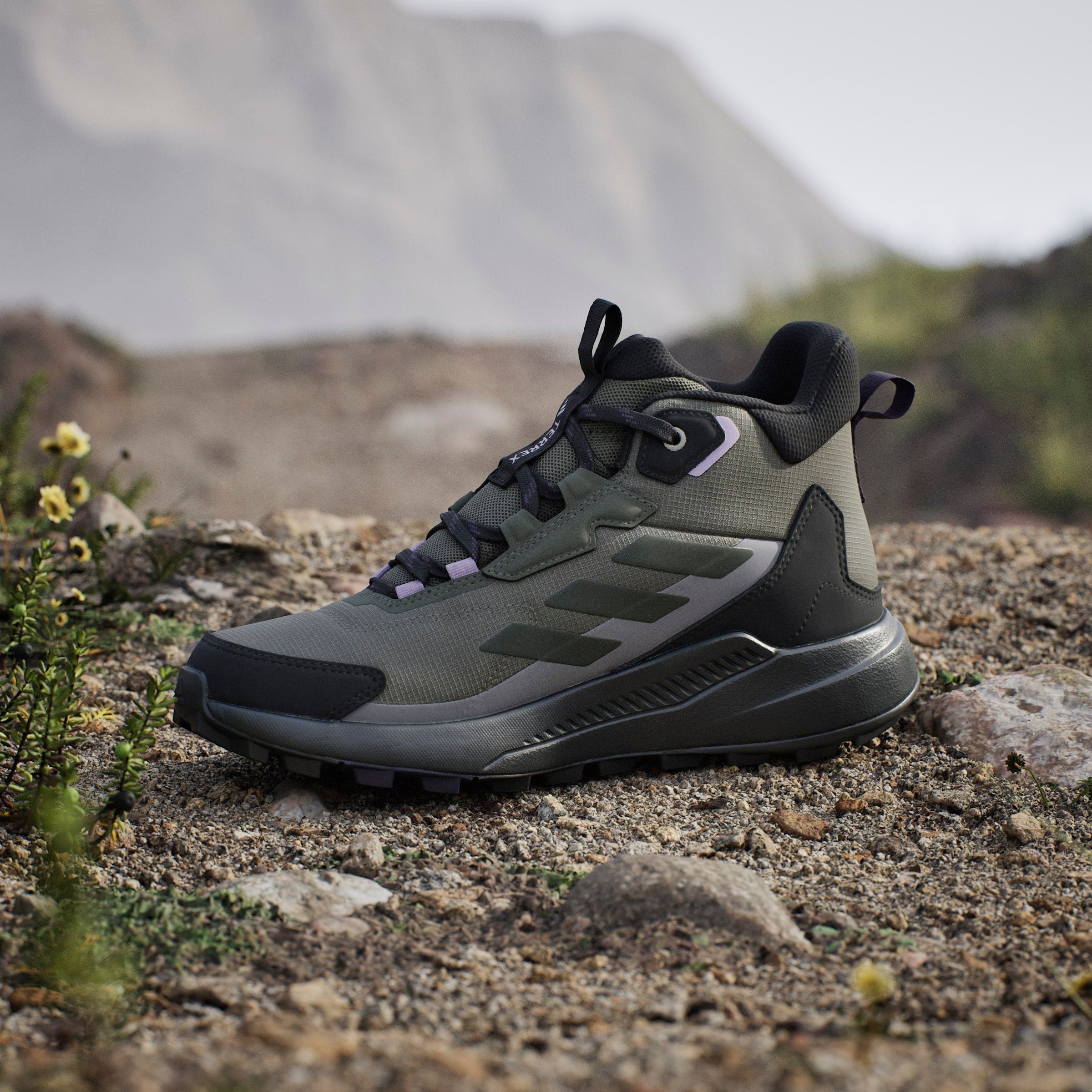 adidas TERREX Wanderschuh »TERREX ANYLANDER MID RAIN.RDY«, wasserdicht