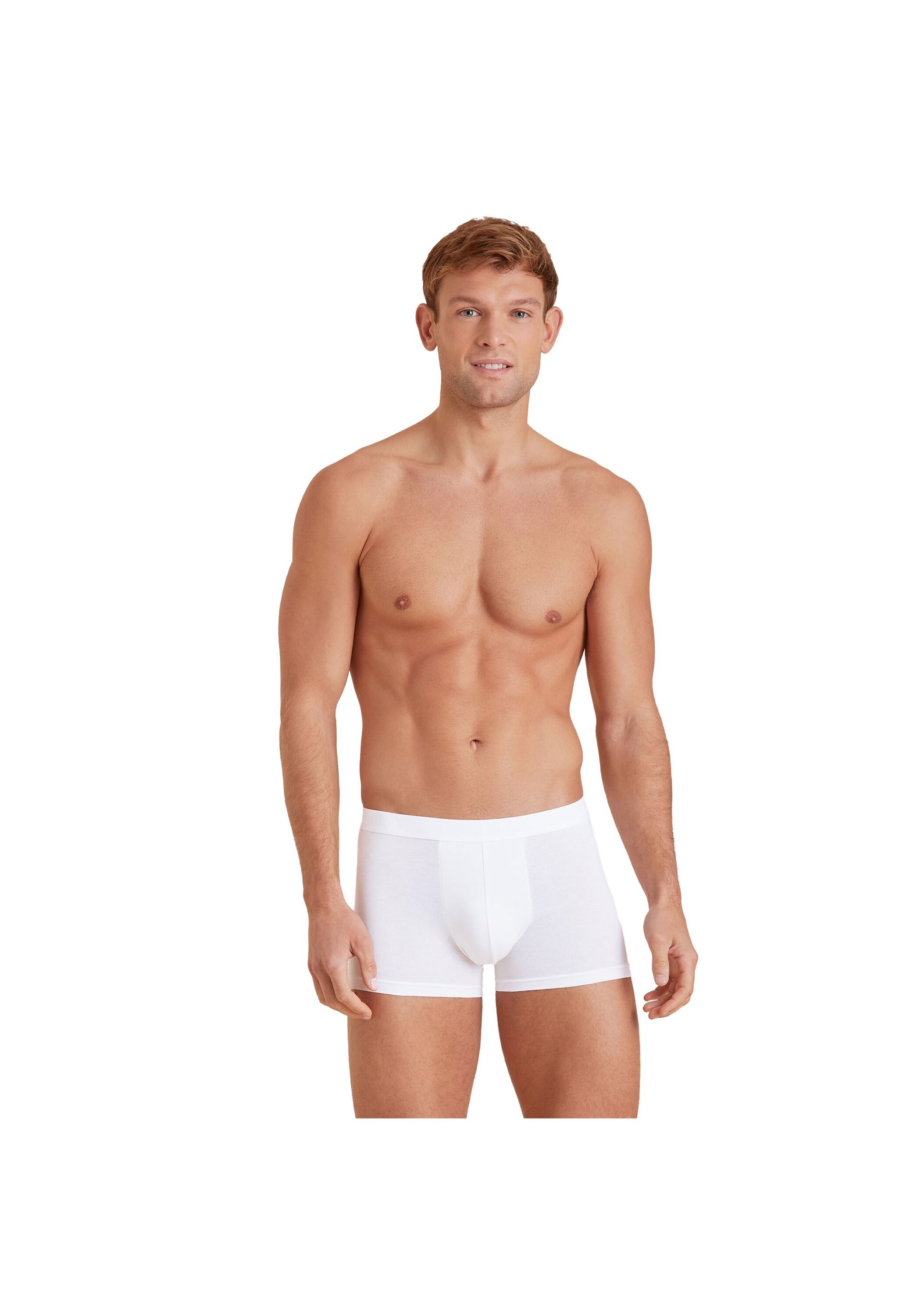 CALIDA Boxershorts "Boxershort Evolution 2P 2er Pack" günstig online kaufen