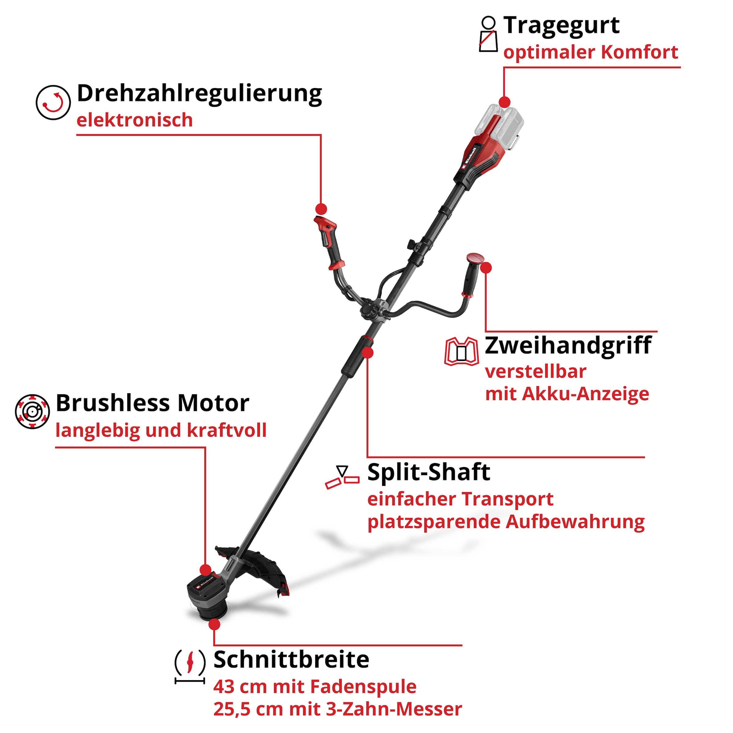Einhell Akku-Motorsense »GP-BC 36/430 Li BL-Solo«, ohne Akku und Ladegerät