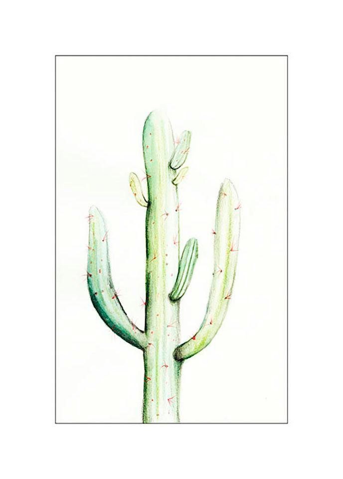 Komar Poster »Saguaro Watercolor« Pflanzen-B...