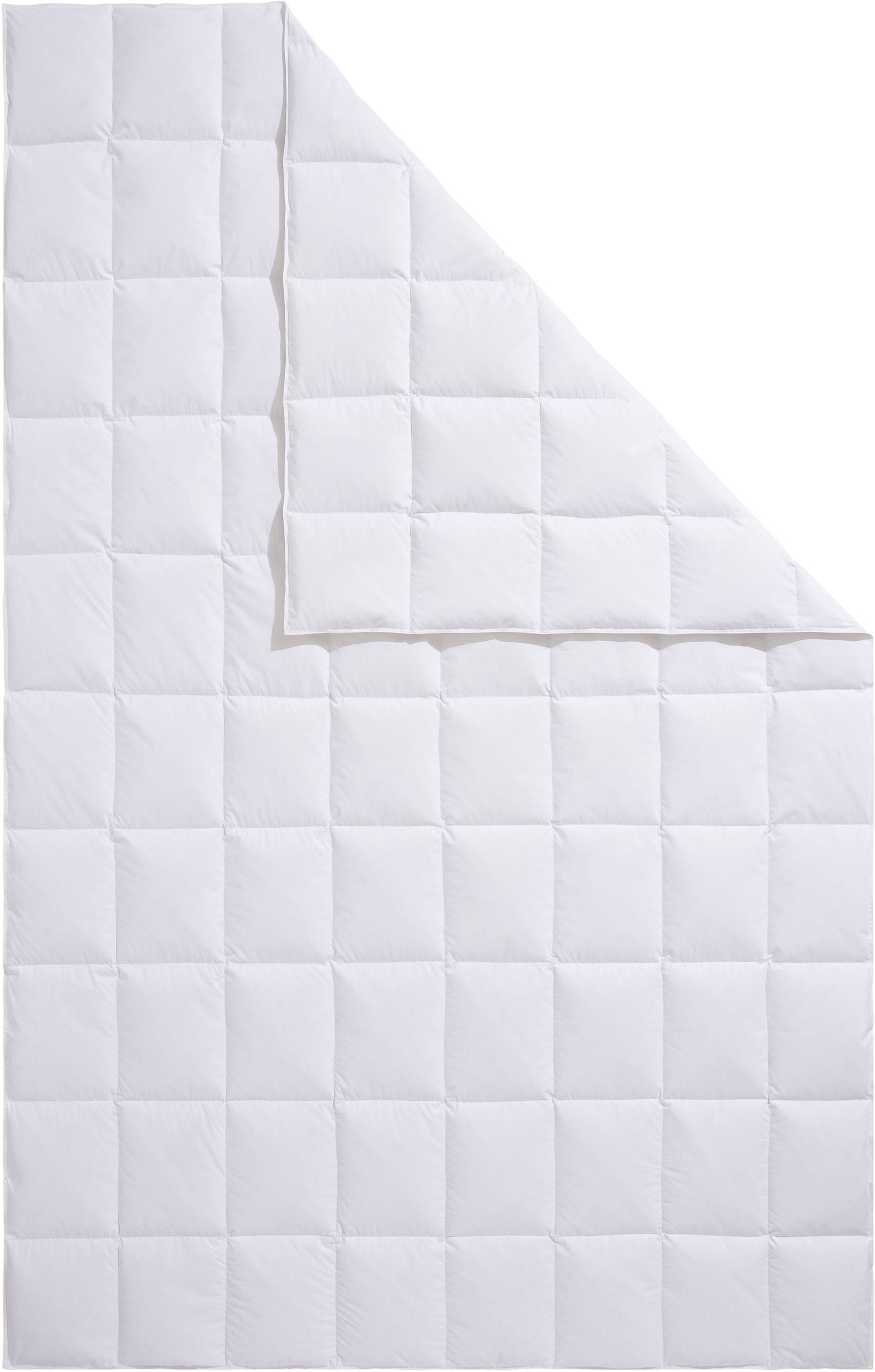 OTTO home Daunenbettdecke »Köniz, Bettdecke 135x200 cm, 155x220 cm und weitere Größen« leicht Füllung 60Daunen40Federn 1 Stk. tlg. Bettdecken, Sommer, Winter, Decke ist Made in Green zertifiziert
