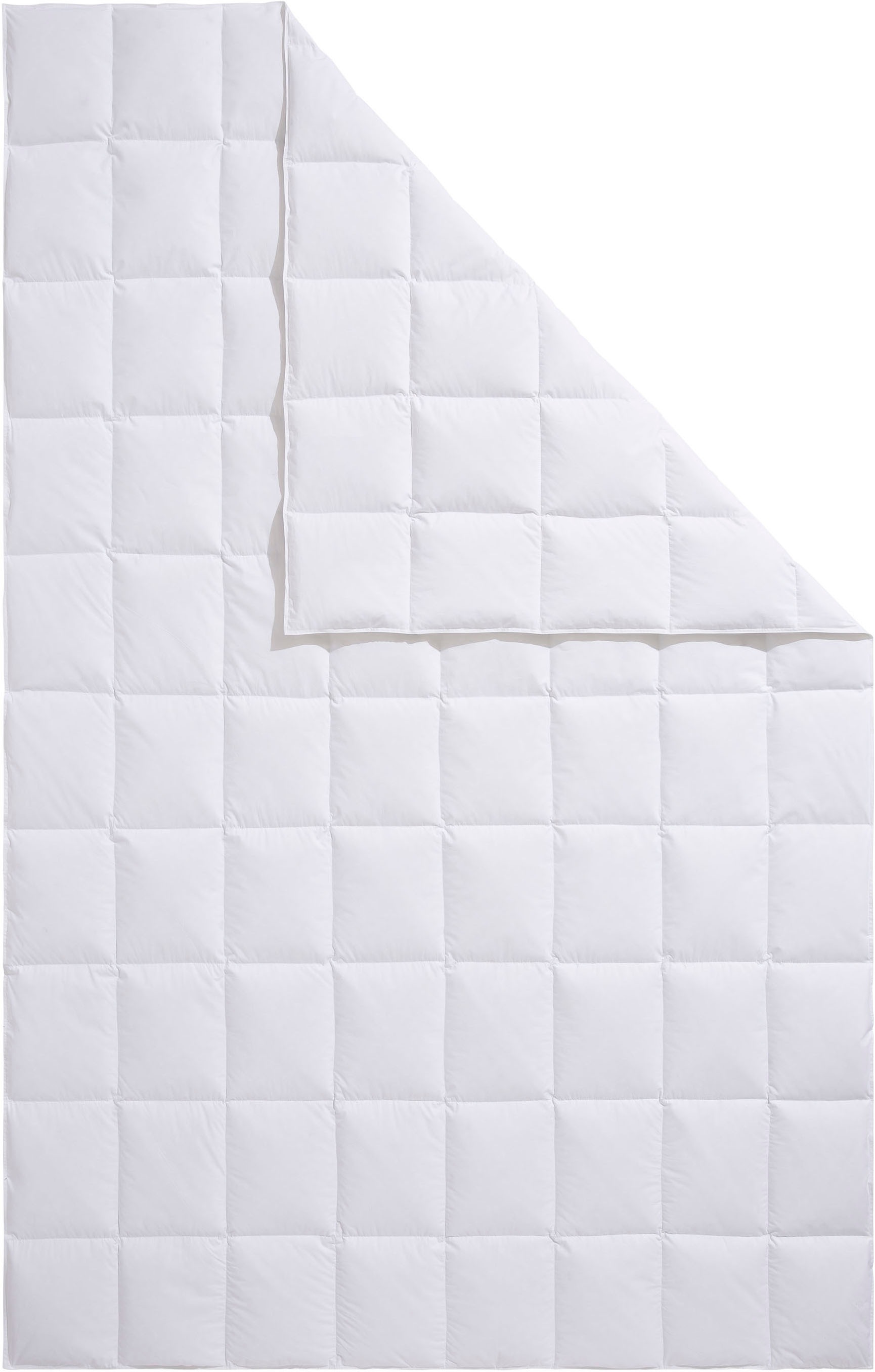 OTTO home Daunenbettdecke "Köniz, Bettdecke 135x200 cm, 155x220 cm und weitere Größen" leicht Füllung 60Daunen40Federn 1 Stk. tlg. Bettdecken, Sommer, Winter, Decke ist Made in Green zertifiziert