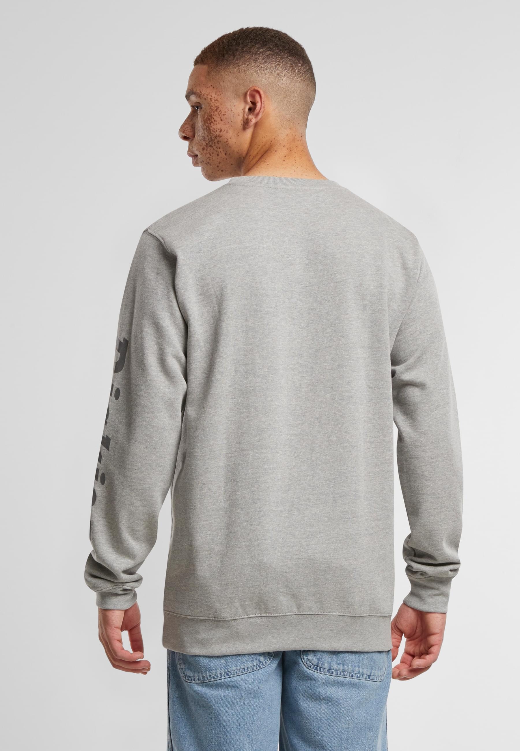 Dickies Sweater »Dickies Workwear Dickies Workwear okemo graphic sweatshirt (bci)«, (1 tlg.)