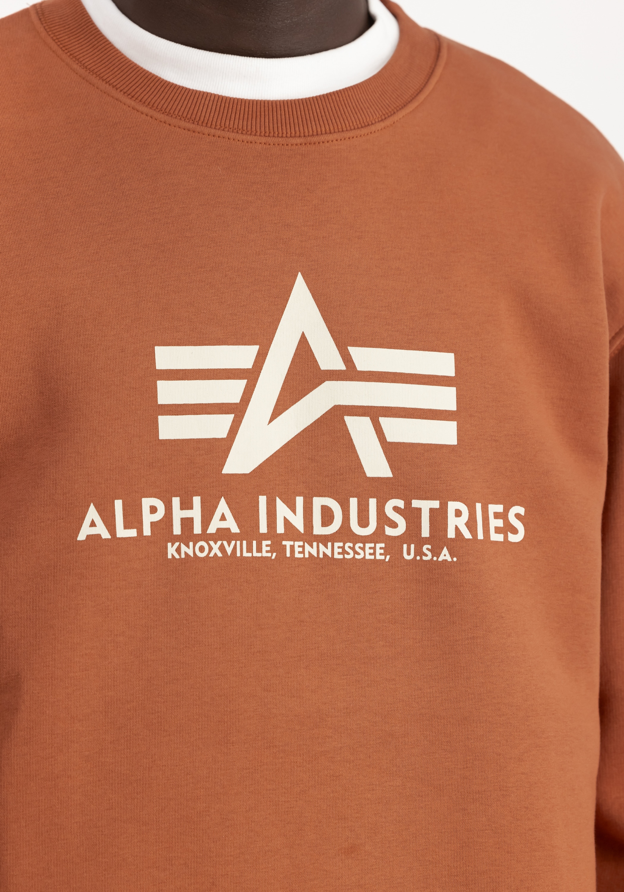 Alpha Industries Sweater »Alpha Industries Men - Sweatshirts Basic Sweater«