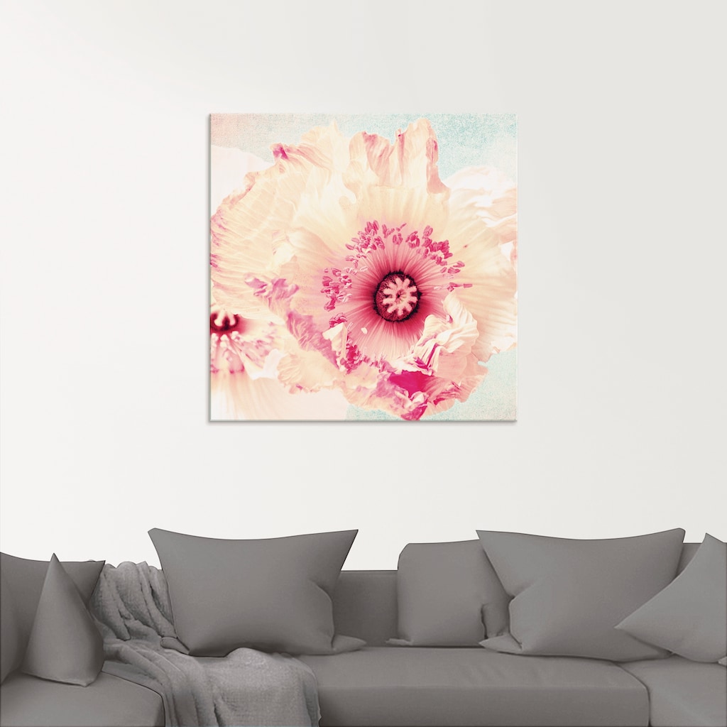 Artland Glasbild »Pastell Mohn«, Blumen, (1 St.)