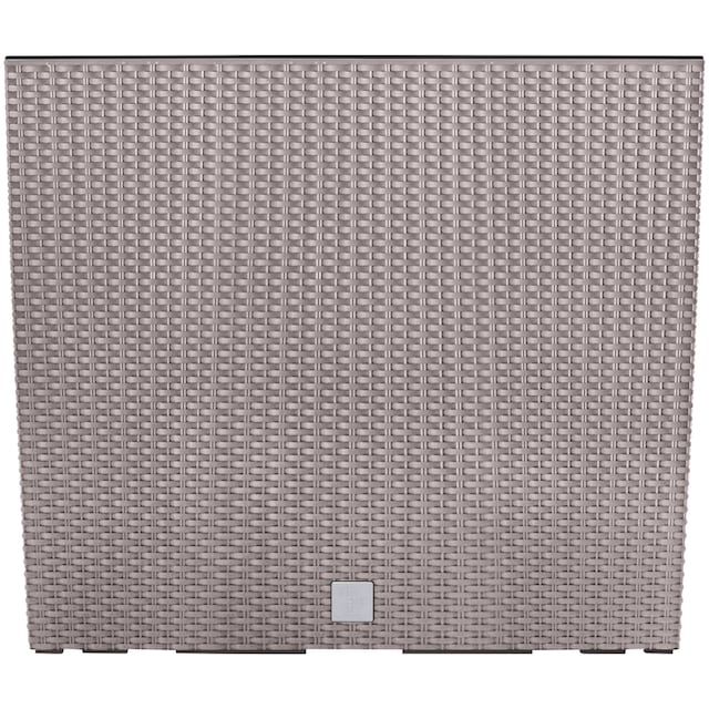 Prosperplast Blumenkasten »Rato Case«, BxTxH: 58x18x49,8 cm, mocca, mit  Einsatz kaufen | BAUR