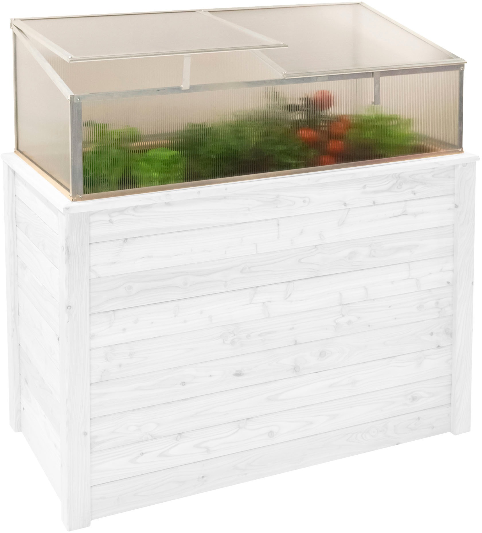 WESTMANN Frühbeetaufsatz »Genus 100« BxTxH: 95x62x41 cm
