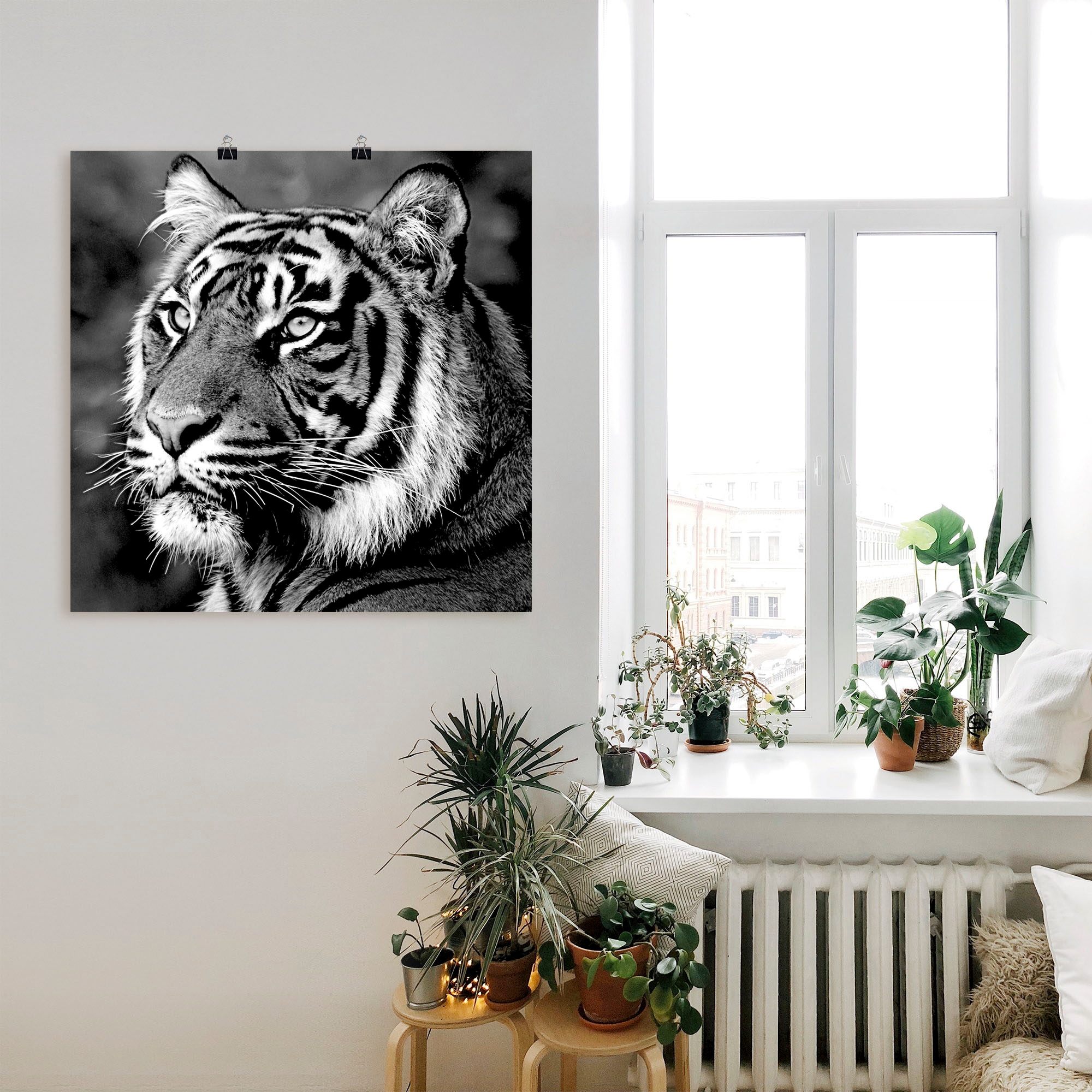 Artland Wandbild »Tiger«, Wildtiere, (1 St.), als Leinwandbild, Poster, Wandaufkleber in verschied. Größen