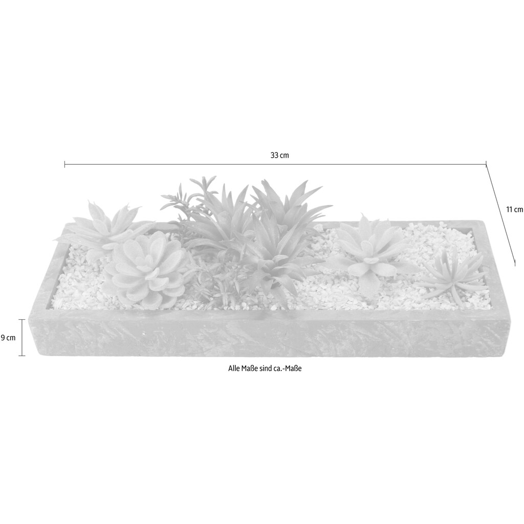 I.GE.A. Kunstpflanze »Succulenten in Schale«