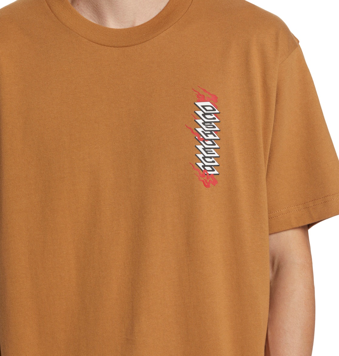 DC Shoes T-Shirt »Brooklyn«
