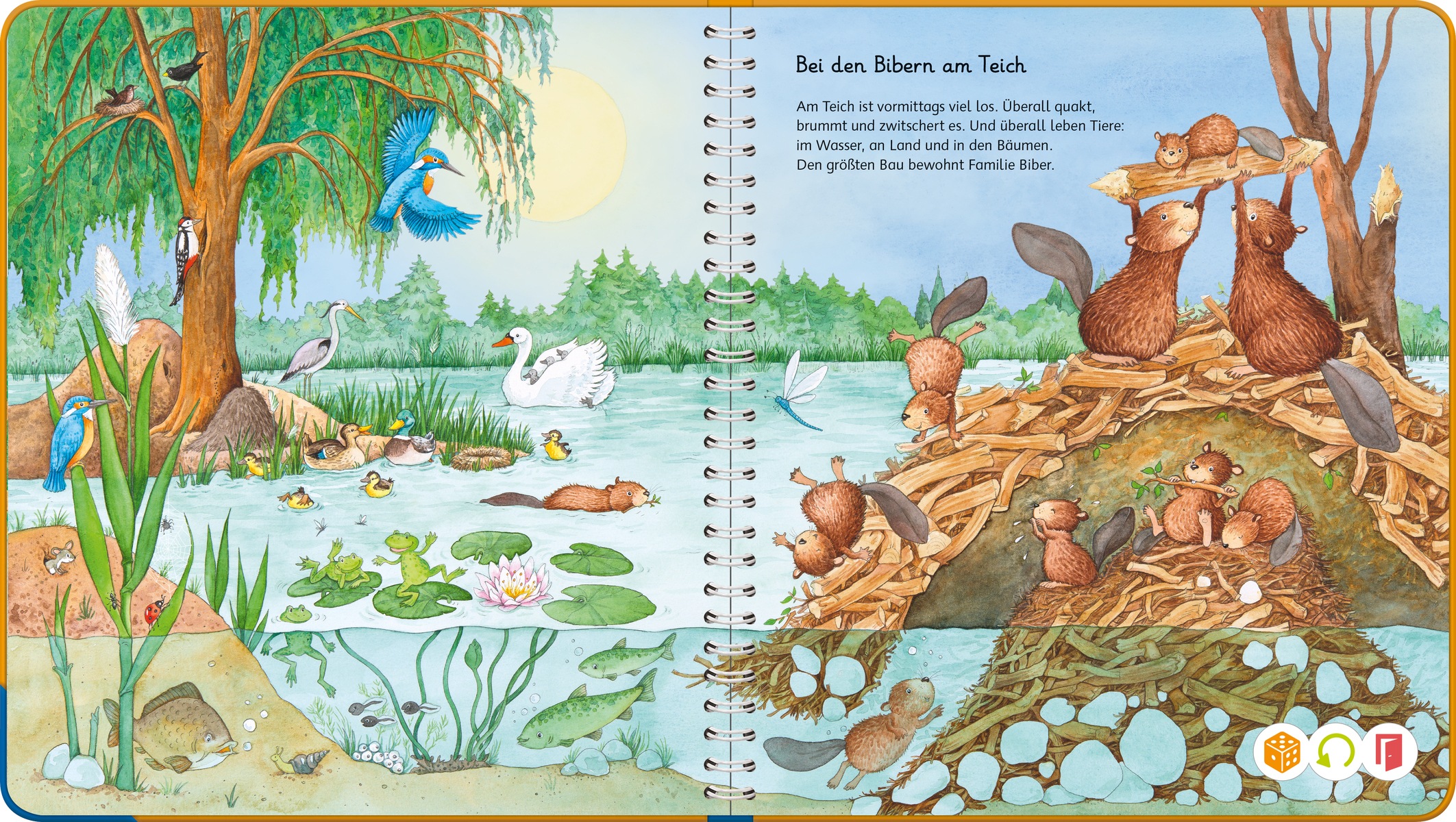 Thumbnail - Ravensburger Kinderbuch "tiptoi Mein Wörter-Bilderbuch Tiere" Made in Europe