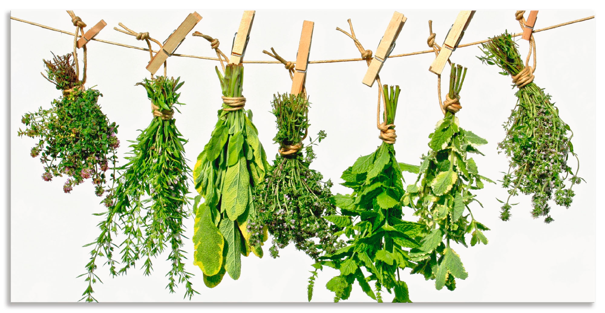 Artland Wandbild "Kräuter" Pflanzen 1 Stk. tlg. als Alubild, Leinwandbild i günstig online kaufen