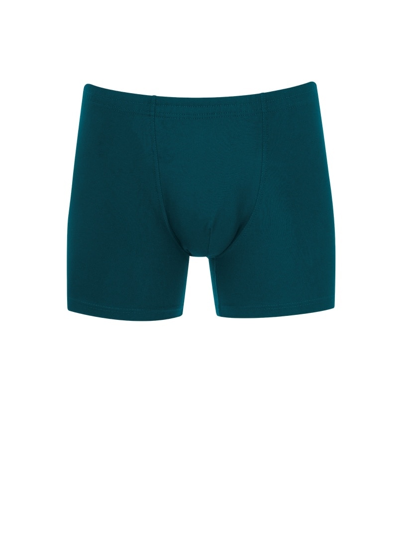 Trigema Boxer »TRIGEMA Herren Pant in bequemer Stretch-Qualität«, (1 St.)