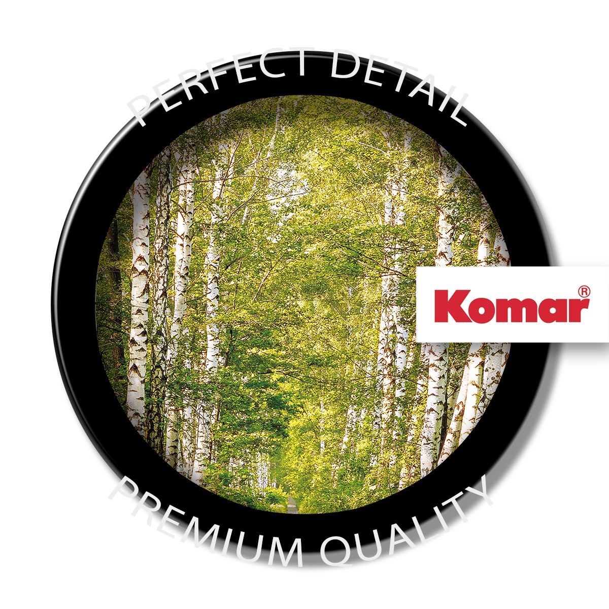 Thumbnail - Komar Fototapete "Papier Fototapete - Birkenwald - Größe 368 x 254 cm" Motiv  bedruckt glatt