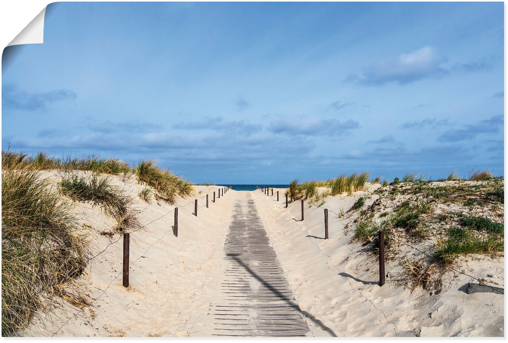 Wandbild »Strandaufgang an Küste der Ostsee«, Strandbilder, (1 St.), als Alubild,...