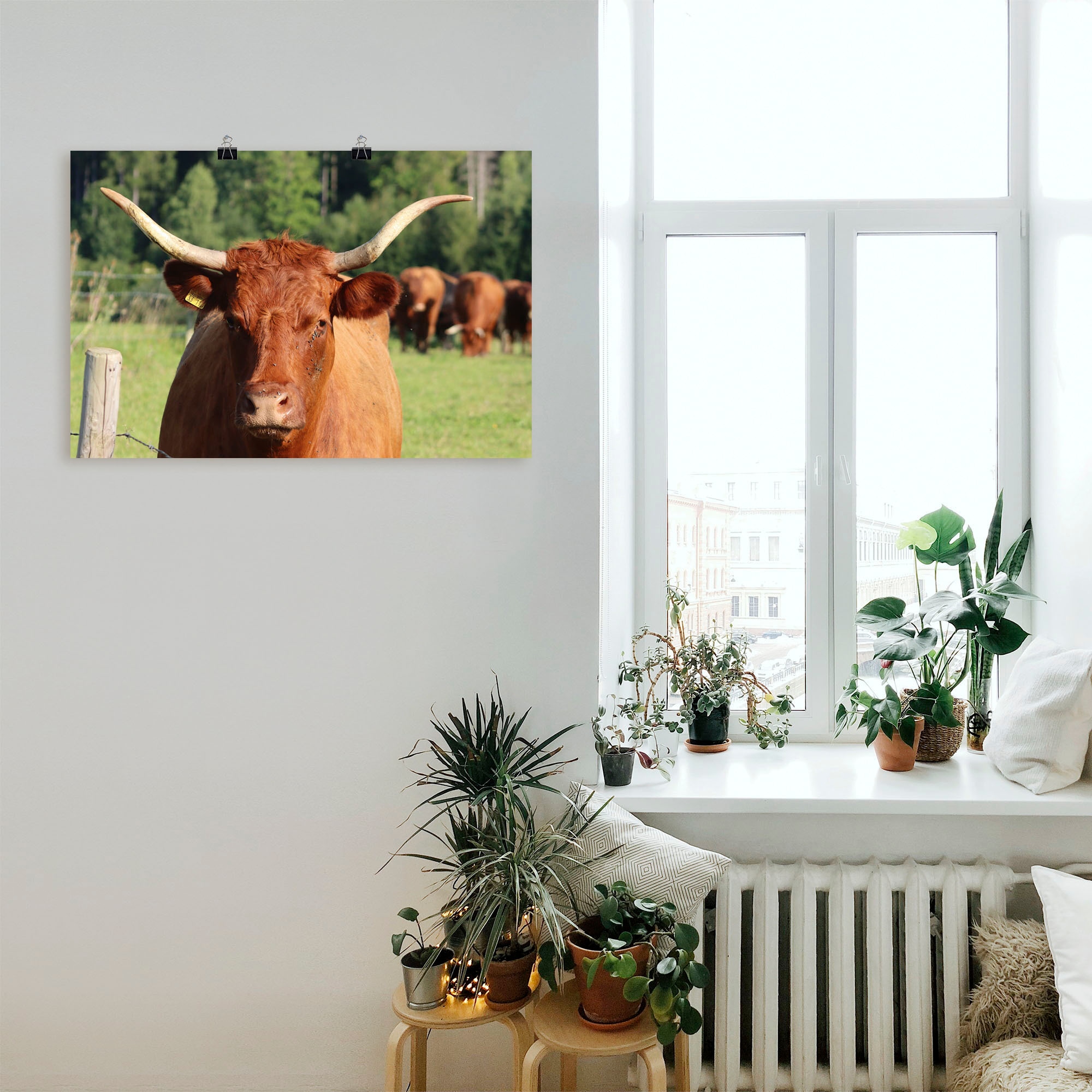 Artland Wandbild »Blickkontakt«, Kuhbilder, (1 St.), als Alubild, Leinwandbild, Wandaufkleber oder Poster in versch. Größen